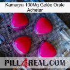 Kamagra 100Mg Gelée Orale Acheter 13